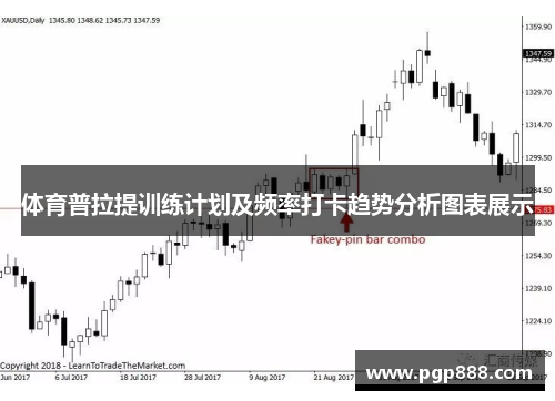 体育普拉提训练计划及频率打卡趋势分析图表展示
